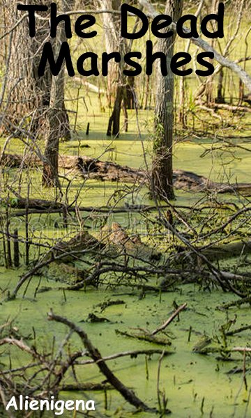 The Dead Marshes.