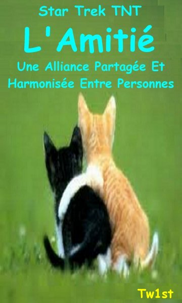 L'Amiti : Une Alliance Partage Et Harmonise Entre Personnes.