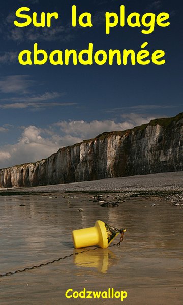 Sur la plage abandonne.